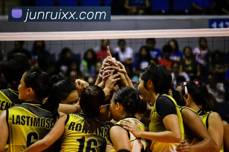 九游j9官网网页版入口发展历程